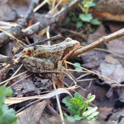 Челябинск 2026